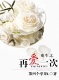 不负苍天免费阅读