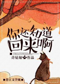 如果爱有来生厉司寒短剧免费观看